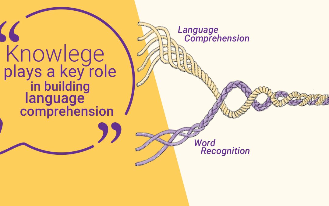 Knowledge plays a key role in building language comprehension